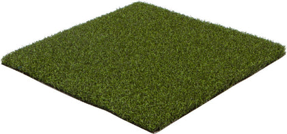 Collegiate Sports Turf