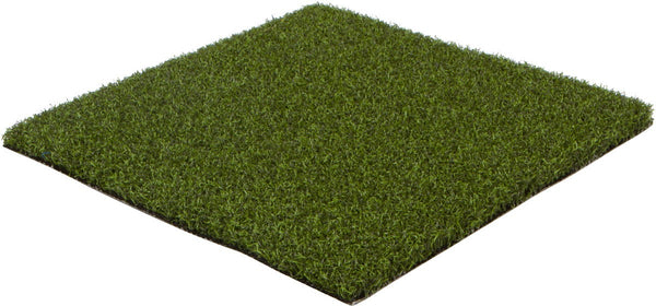 Collegiate Astros sports turf