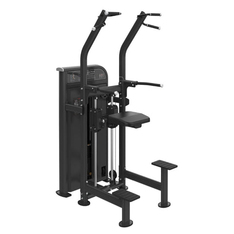 Kodiak Echo Pro Series Assisted Chin-Up / Dip Combo 8220