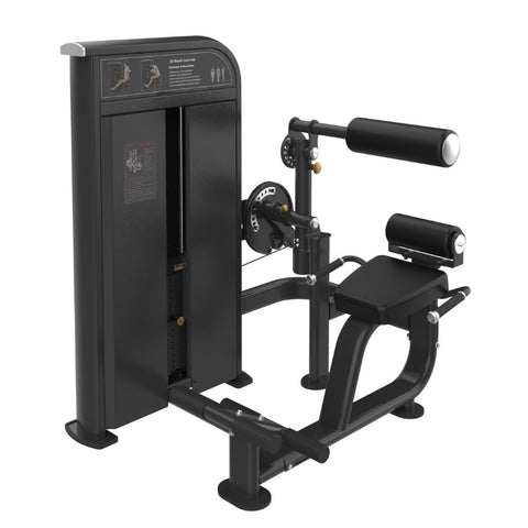 Kodiak Echo Pro Series Abdominal / Back Extension 8221