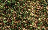Cork Rubber Infill for Athletic Fields - Athletic Textiles, LLC - Syntheticturf.com