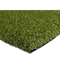 Nylon Putt 55 - Putting Green Turf