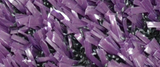 Pro Performance 45 Purple turf color swatch