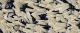 Pro Performance 45 Vegas Gold turf color swatch