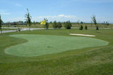 Poly Putt 50 Putting Green Turf - Athletic Textiles, LLC - Syntheticturf.com