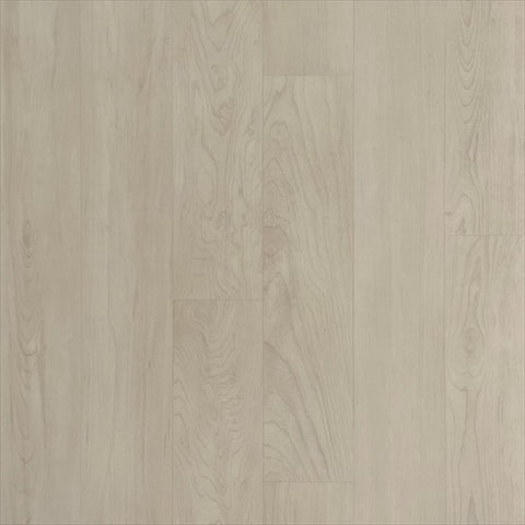 Ecore Baller Spike Vinyl with Rubber