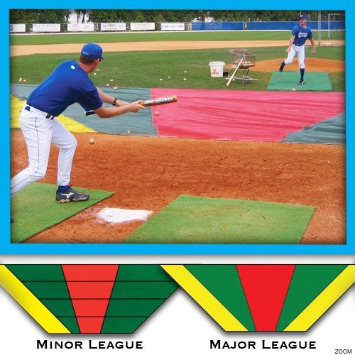 Bunt Zone® Infield Mesh Protector and Bunt Training Zone