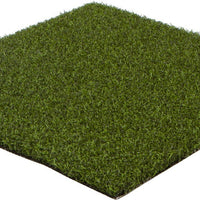Collegiate Sports Turf