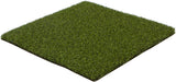 24oz Poly High School Cage Sports Turf & Putting Green - ST-24PVBM-U