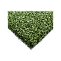 Nylon Putt 42 Sports Turf